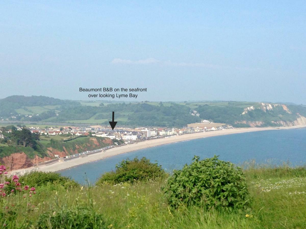 Beaumont B&B Seaton  Bagian luar foto